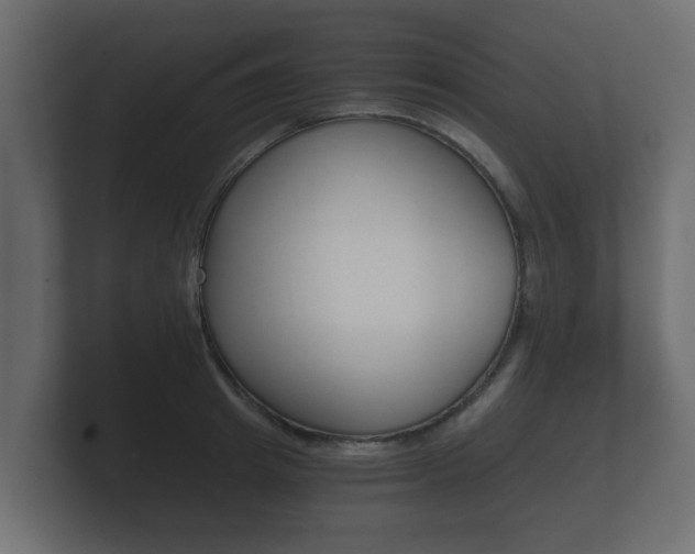 X0000101950849200807180701