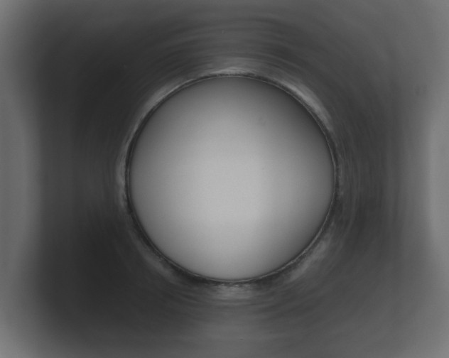 X0000101950850200807180701