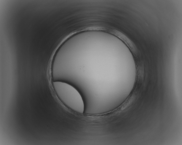 X0000101950852200807180701