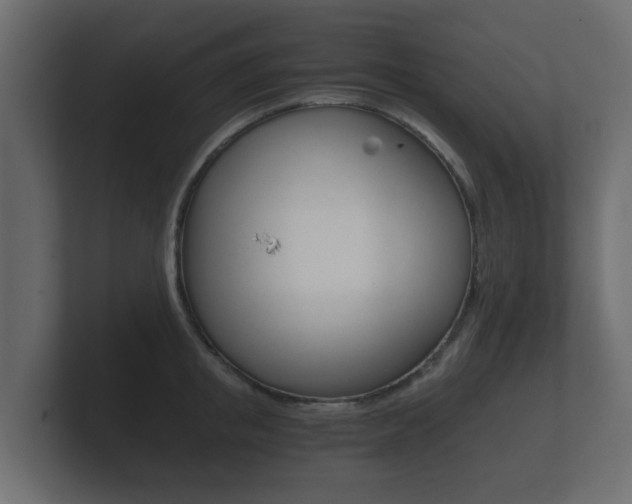 X0000101950853200807180701