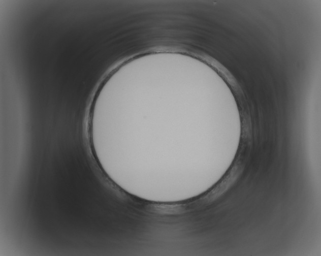 X0000101950856200807180701