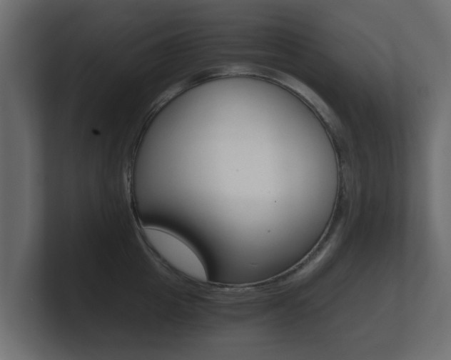 X0000101950857200807180701