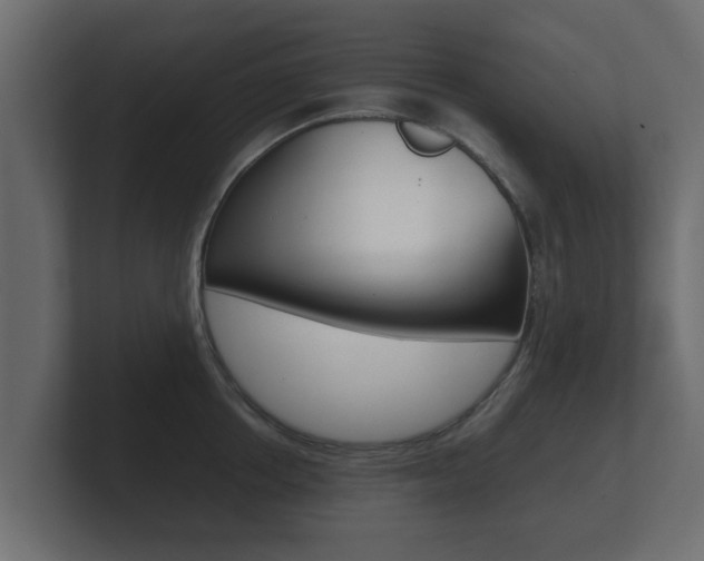 X0000101950858200807180701