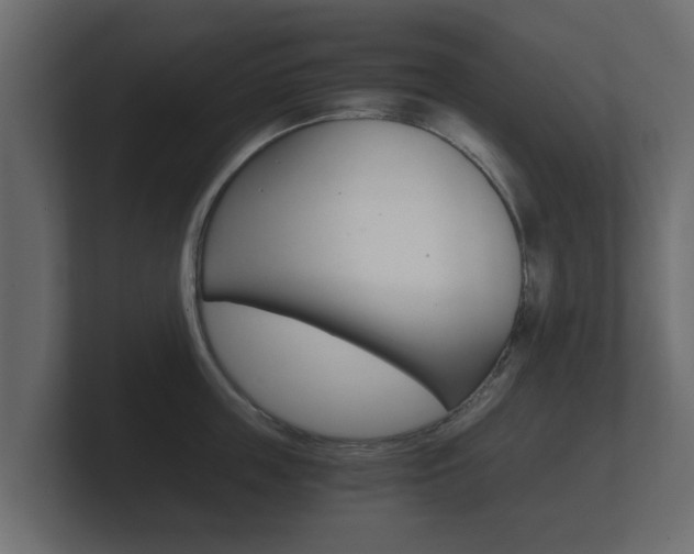X0000101950859200807180701
