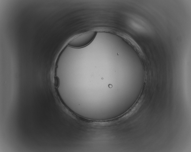X0000101950860200807180701