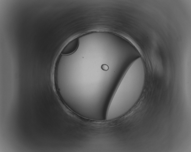 X0000101950861200807180701