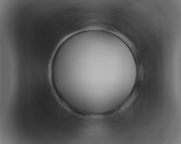 X0000101950862200807180701
