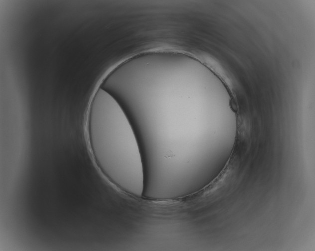 X0000101950863200807180701