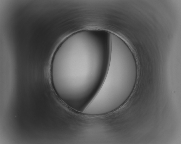 X0000101950864200807180701
