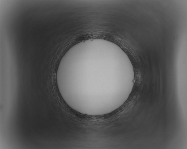 X0000101950865200807180700
