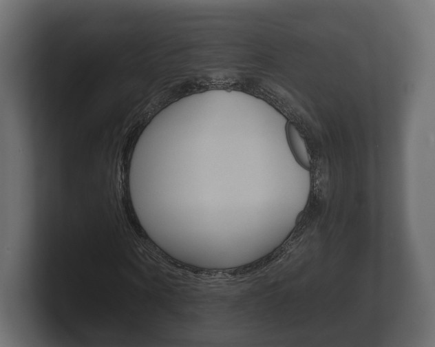 X0000101950866200807180700