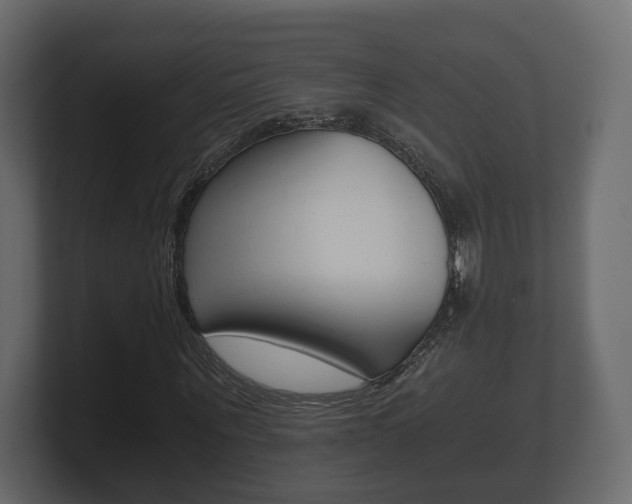 X0000101950867200807180700