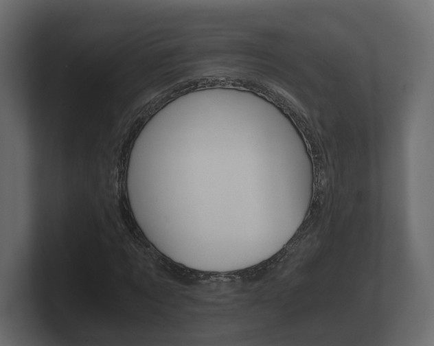 X0000101950869200807180700