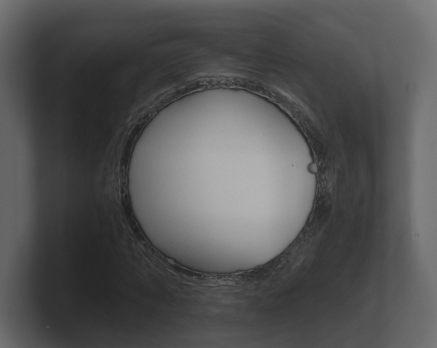 X0000101950870200807180700