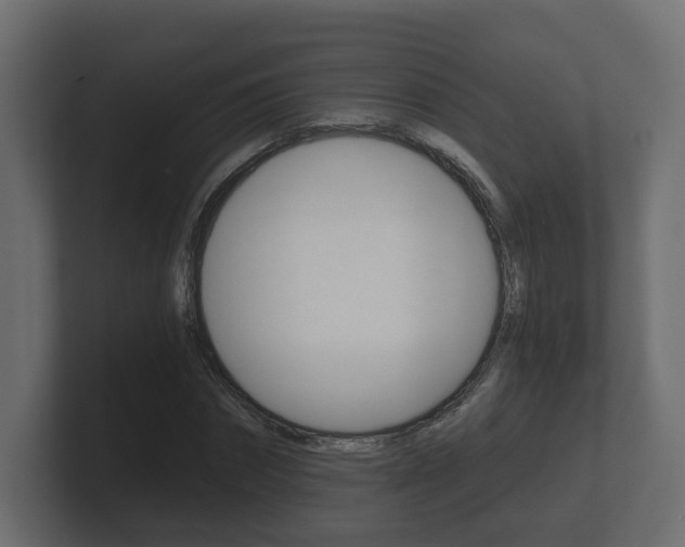 X0000101950874200807180700