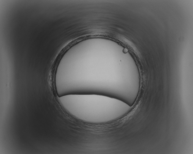 X0000101950875200807180700
