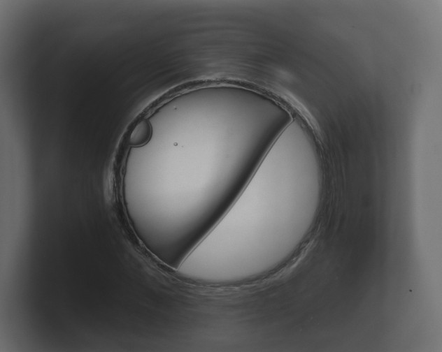 X0000101950876200807180700
