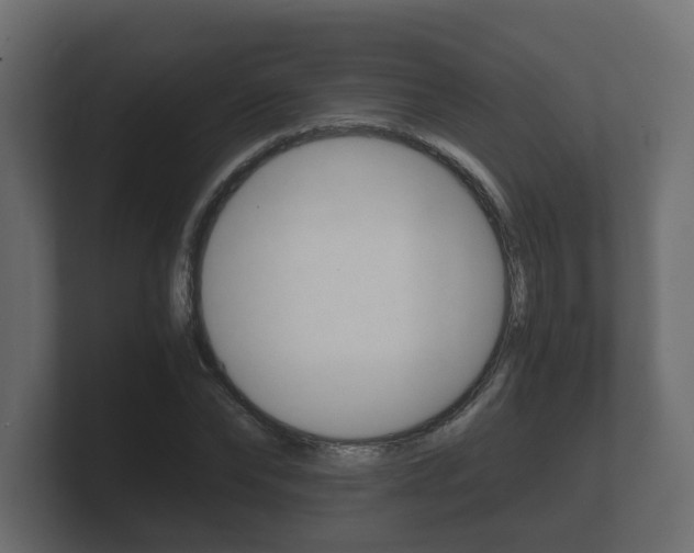 X0000101950878200807180700