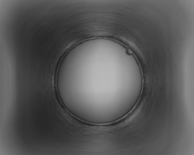 X0000101950881200807180700
