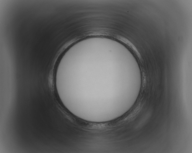 X0000101950882200807180700