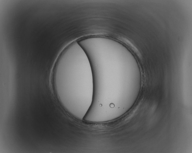 X0000101950883200807180700