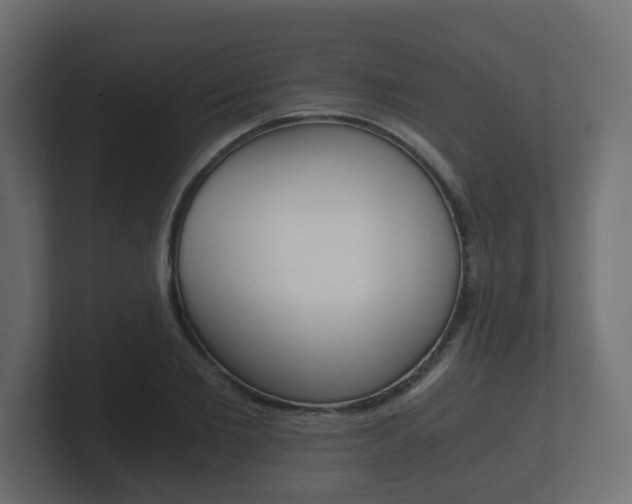 X0000101950885200807180700