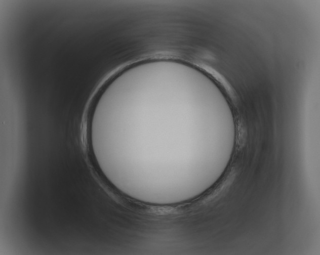 X0000101950886200807180700