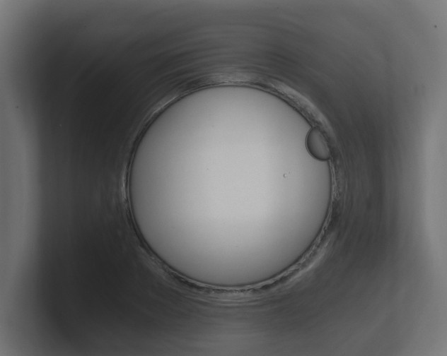 X0000101950889200807180700