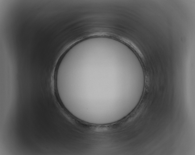 X0000101950890200807180700