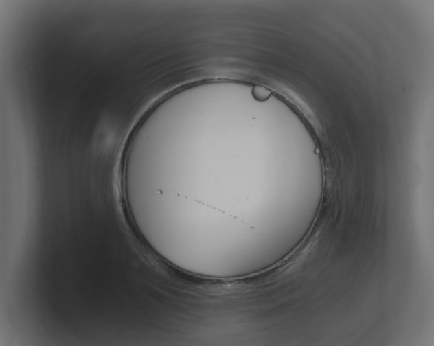 X0000101950891200807180700