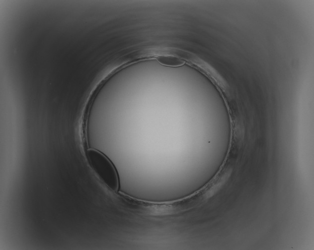 X0000101950893200807180700