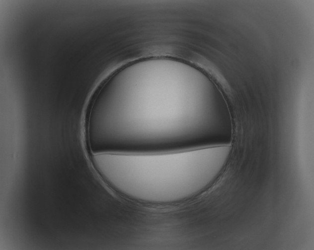 X0000101950894200807180700