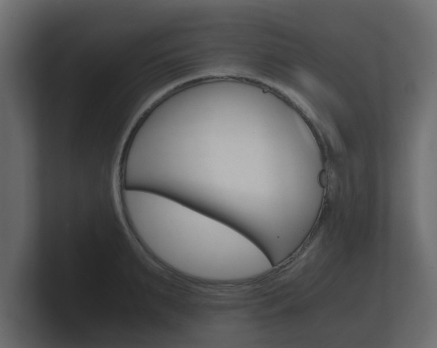 X0000101950895200807180700
