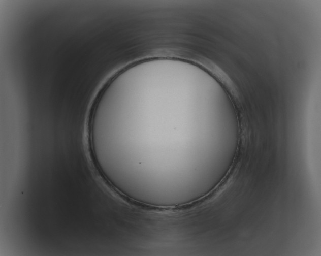 X0000101950896200807180700