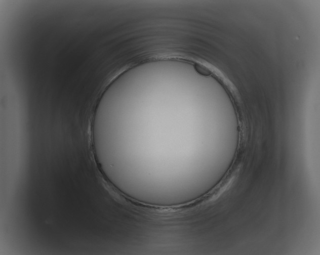 X0000101950897200807180700