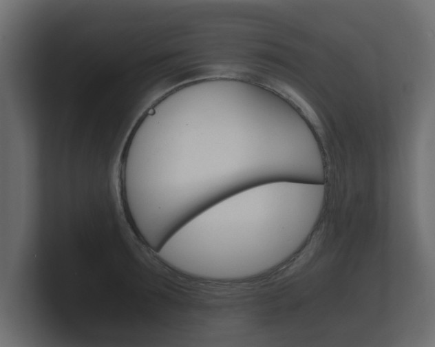 X0000101950899200807180700