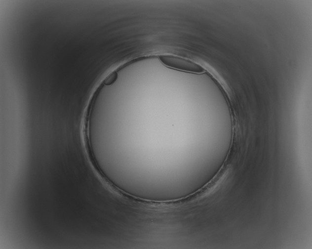 X0000101950901200807180700