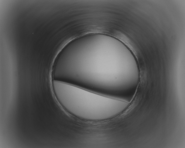 X0000101950906200807180700