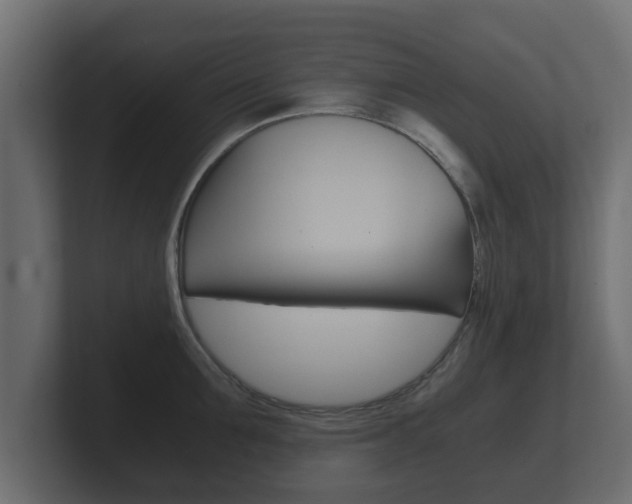 X0000101950907200807180700