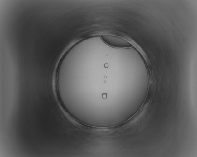 X0000101950909200807180700