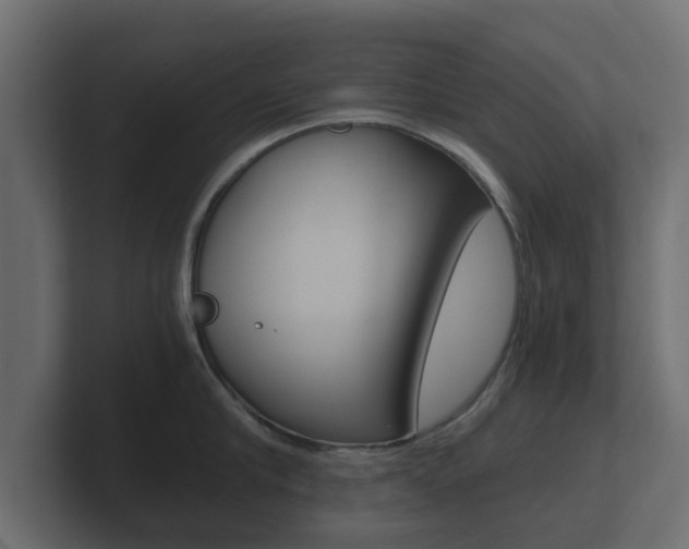 X0000101950910200807180700