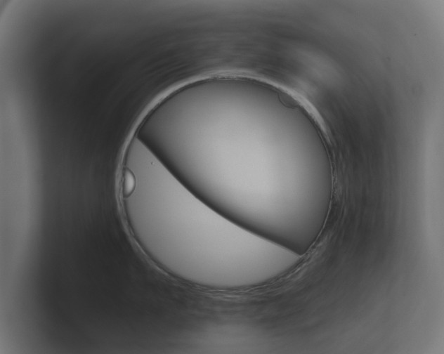 X0000101950911200807180700
