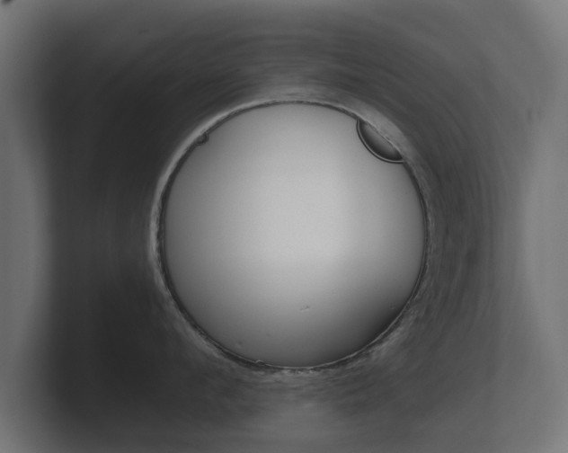 X0000101950912200807180700
