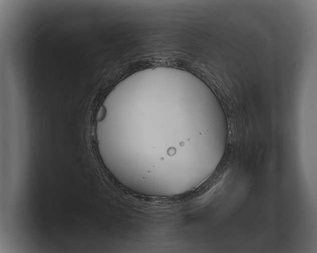 X0000101950913200807180659