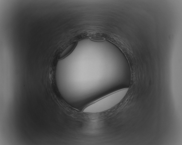 X0000101950914200807180659