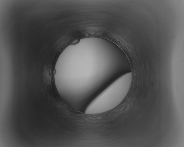 X0000101950915200807180659