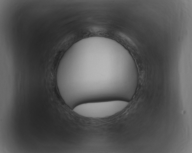 X0000101950917200807180659