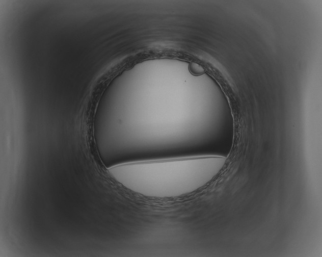 X0000101950919200807180659