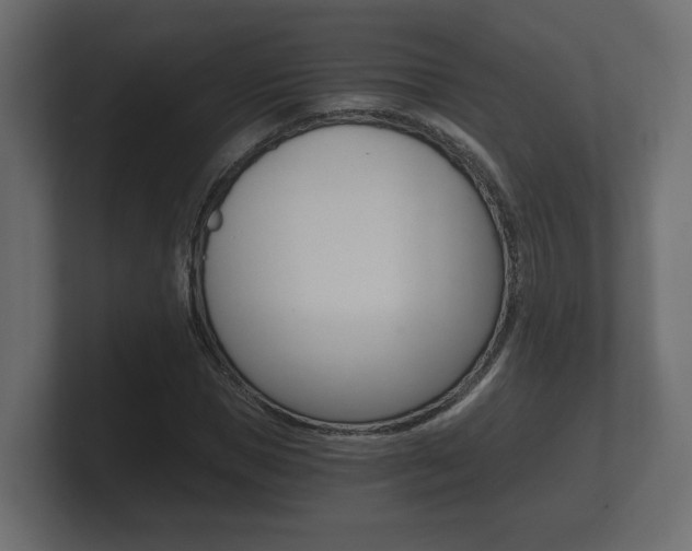 X0000101950921200807180659