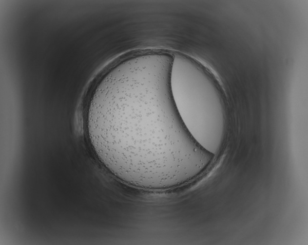 X0000101950925200807180659